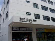 The Domain #1295002